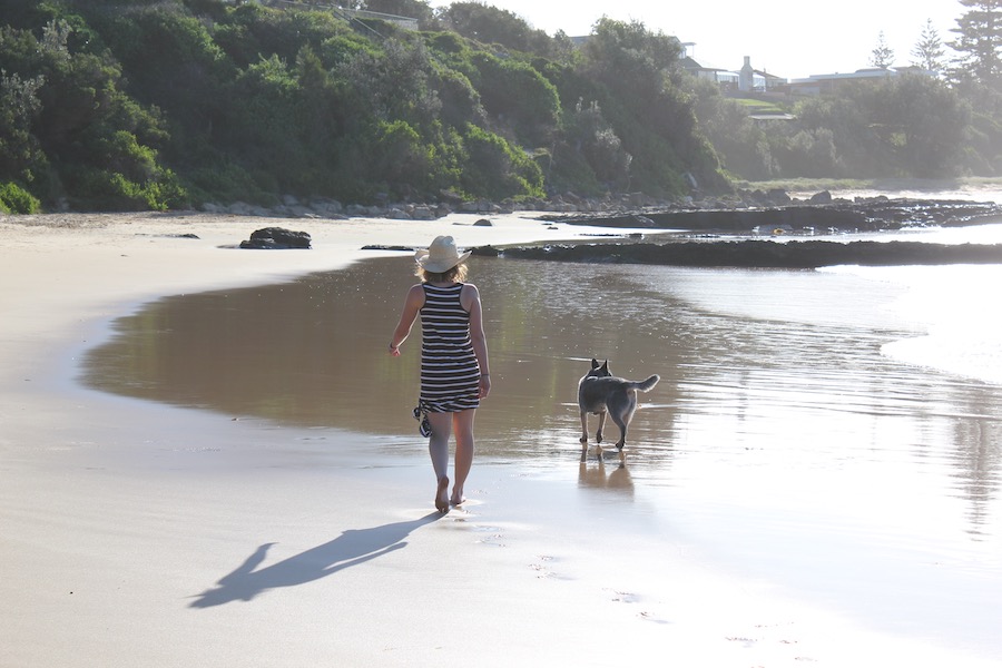 Pet friendly beaches