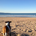 Culburra Beach